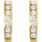 14K Yellow 3/8 CTW Natural Diamond Earrings