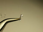 Sapphire 2mm Nose Stud - AAA-Grade - Gold or Platinum - Nose, Helix, Tragus, Lobe or Cartilage