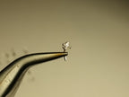Sapphire 2mm Nose Stud - AAA-Grade - Gold or Platinum - Nose, Helix, Tragus, Lobe or Cartilage