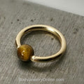 Tiger's Eye Captive Bead Ring CBR - 14 ga Hoop - 14k Gold or Platinum